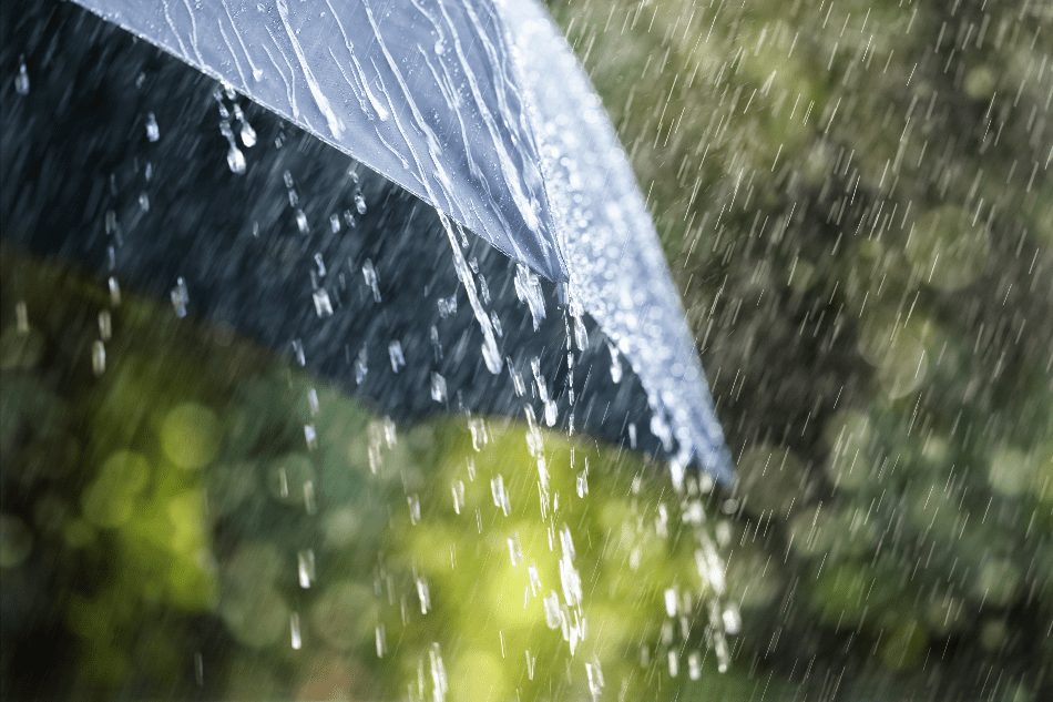 regn